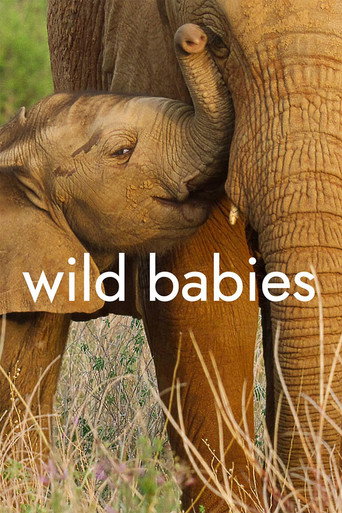 Regarder Wild Babies : Petits et Sauvages en streaming complet